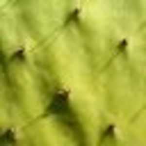 Meet your Posher, Abigail